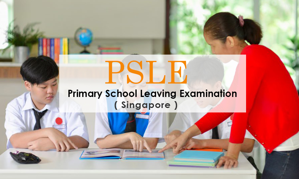 PSLE Classes